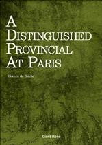 A Distinguished Provincial At Paris